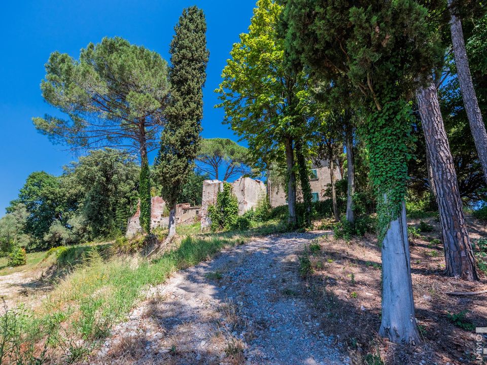Villa i Cerreto Guidi, Florence - foto 4
