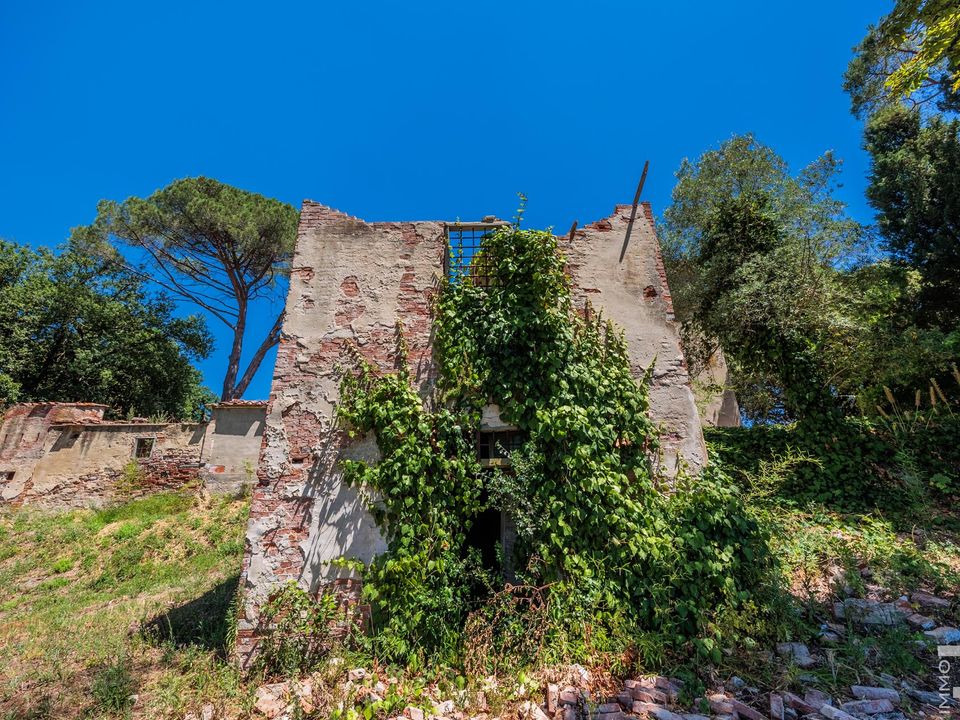 Villa i Cerreto Guidi, Florence - foto 3