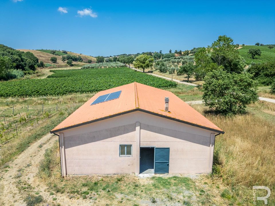 Landejendom i Magliano in Toscana, Grosseto - foto 5