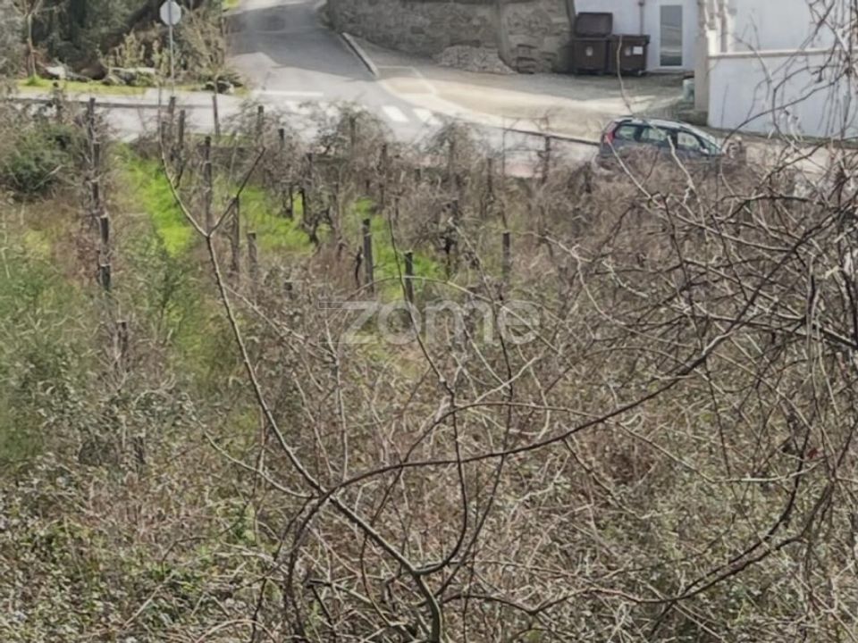 Tomt i Ribeira de Pena, Vila Real - bilde 3