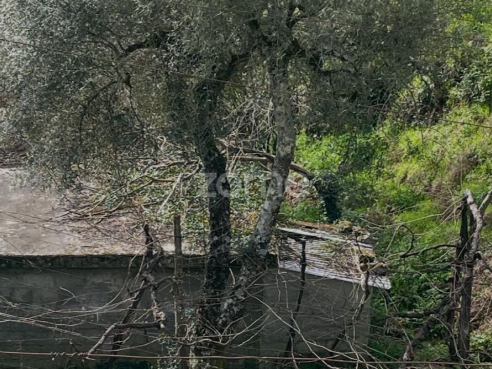 Tomt i Ribeira de Pena, Vila Real - bilde 4