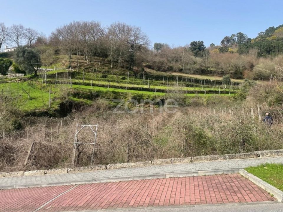 Tomt i Ribeira de Pena, Vila Real - bilde 2