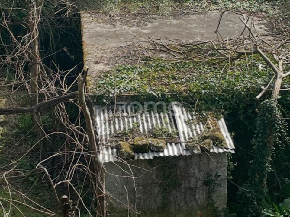 Tomt i Ribeira de Pena, Vila Real - bilde 5
