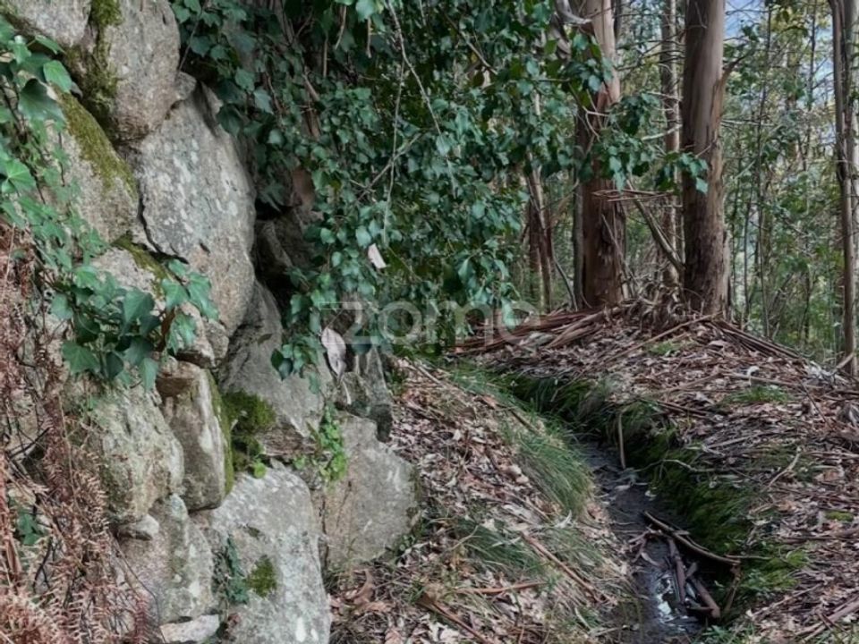 Tomt i Ribeira de Pena, Vila Real - bilde 3