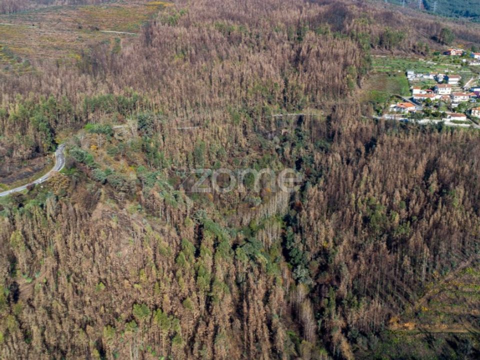 Villa i Cinfaes, Viseu - foto 1