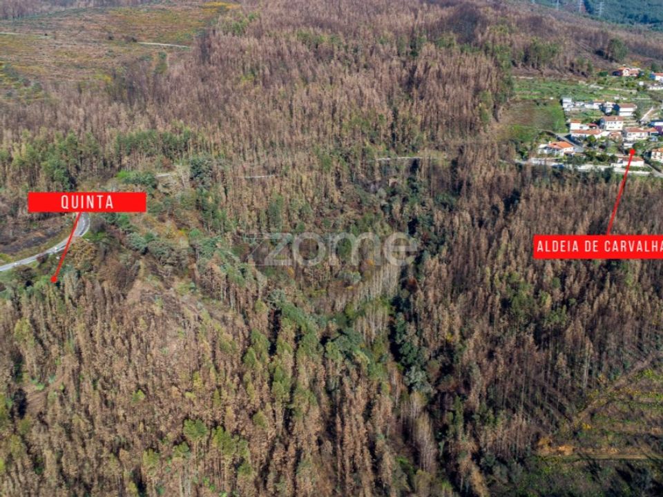Villa i Cinfaes, Viseu - foto 2