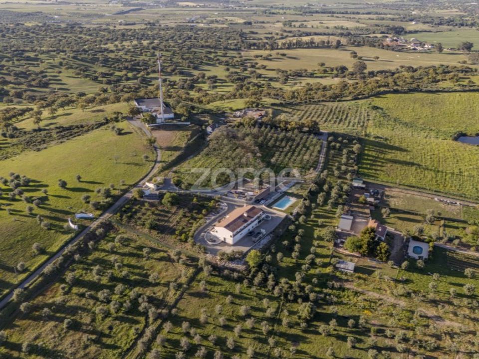 Farm i Redondo, Evora - foto 4