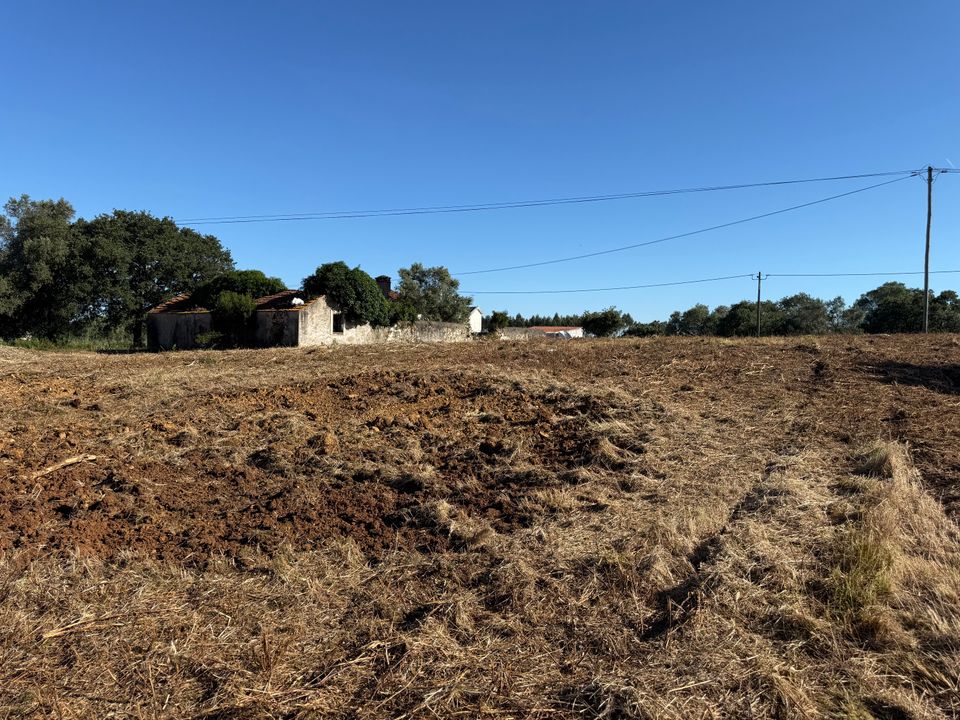 Villa a Alcobaca, Leiria - foto 5