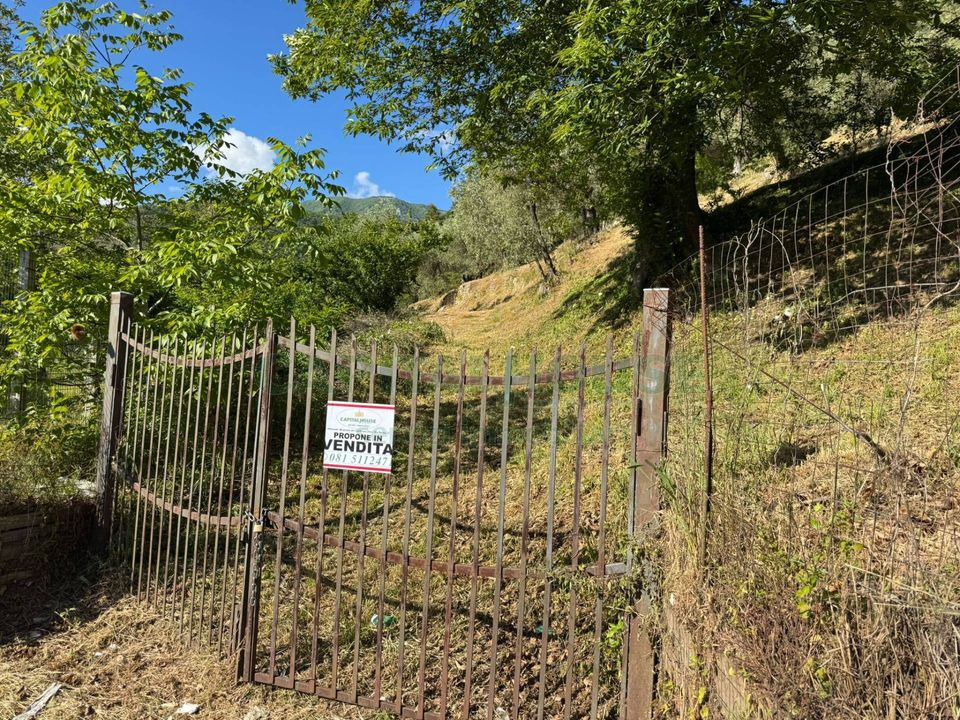 Helårsgrund i Quadrelle, Avellino - foto 3