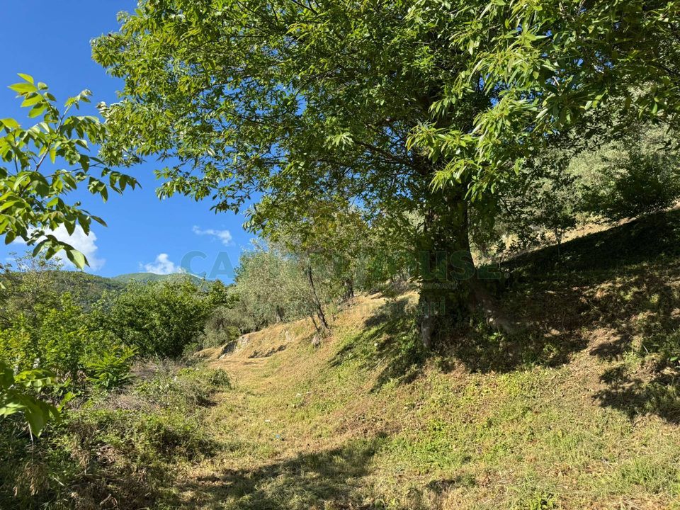 Helårsgrund i Quadrelle, Avellino - foto 4