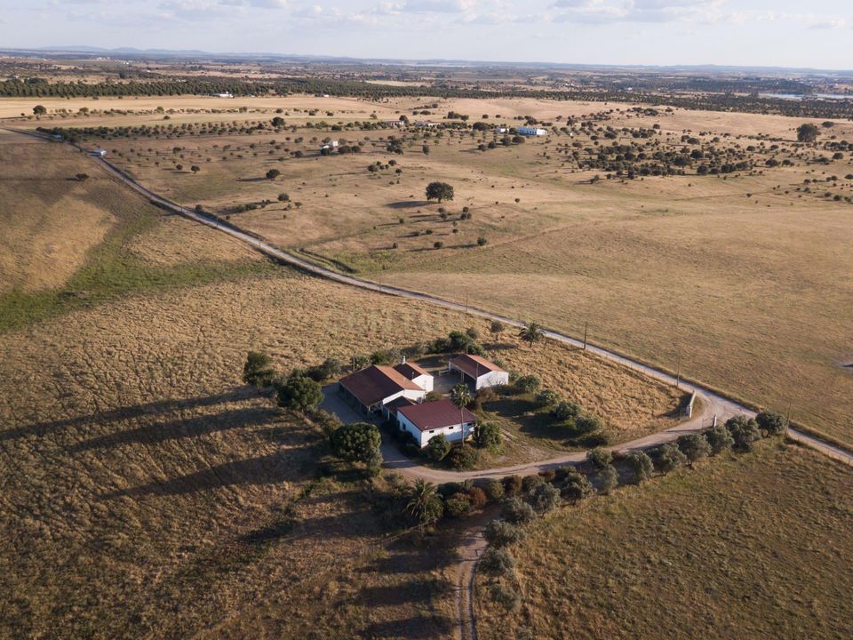 Gårdshus i Mourao, Evora - bilde 5