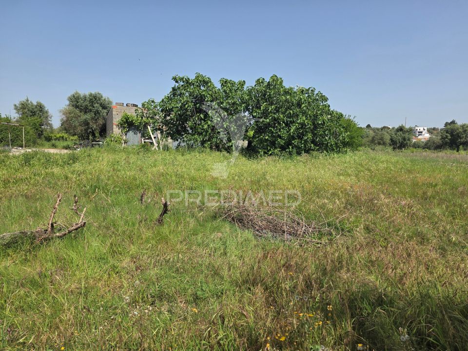 Helårsgrund i Vila Nova da Barquinha, Santarem - foto 4