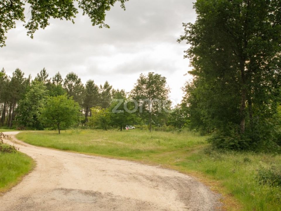 Helårsgrund i Seia, Guarda - foto 5