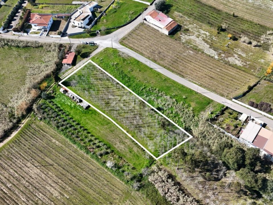Helårsgrund i Anadia, Aveiro - foto 1