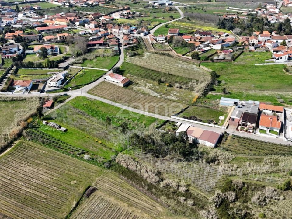Helårsgrund i Anadia, Aveiro - foto 3