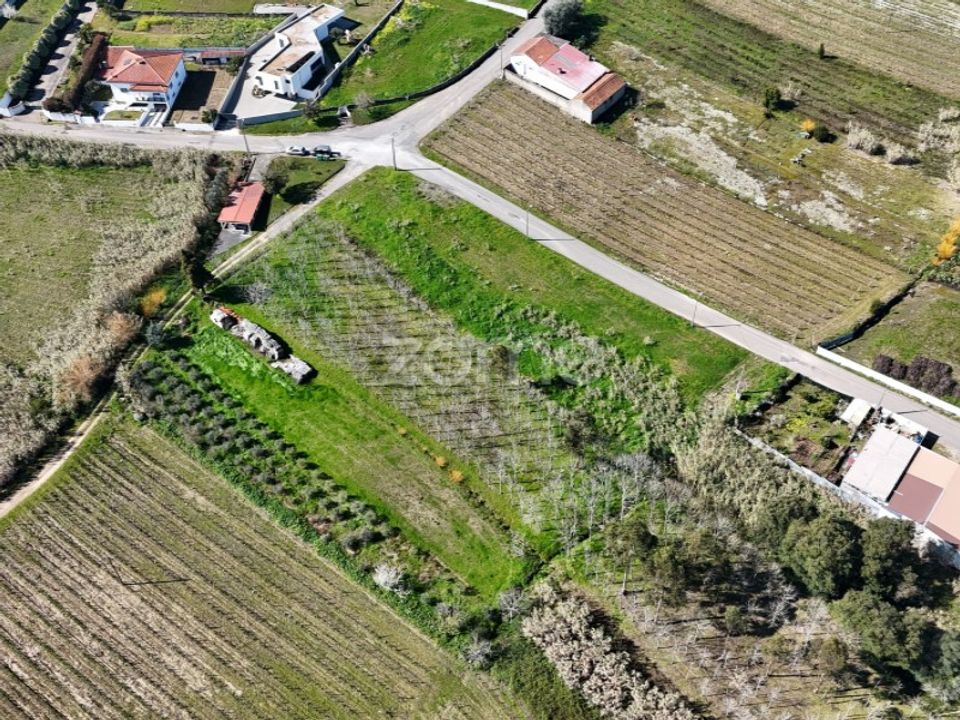 Helårsgrund i Anadia, Aveiro - foto 4