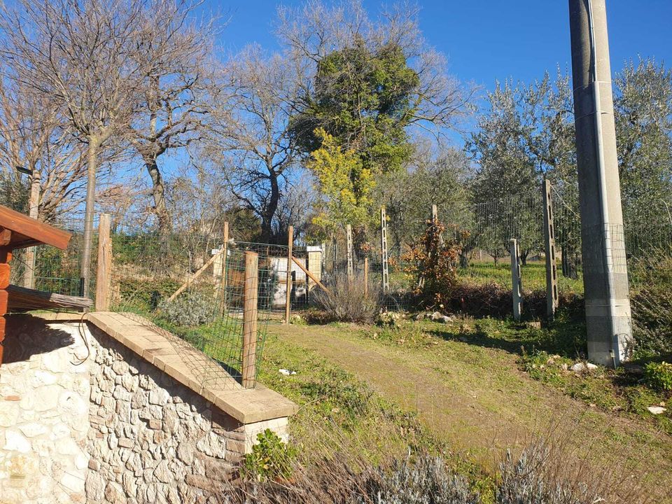Byhus i Lugnano in Teverina, Terni - foto 2
