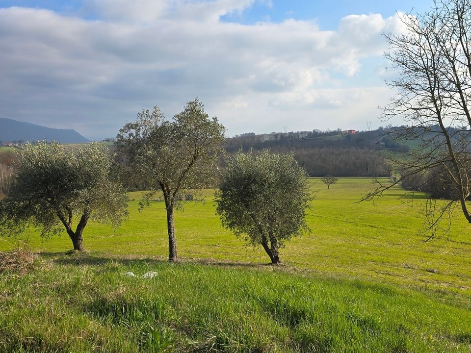 Villa i Acquasparta, Terni - foto 4