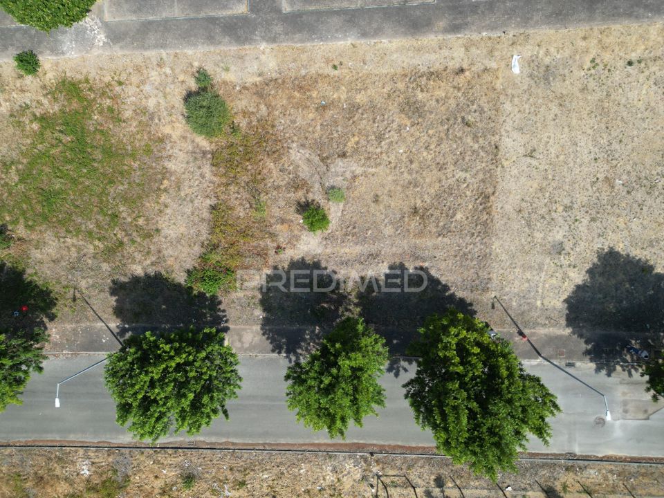 Tomt i Cartaxo, Santarem - bilde 4