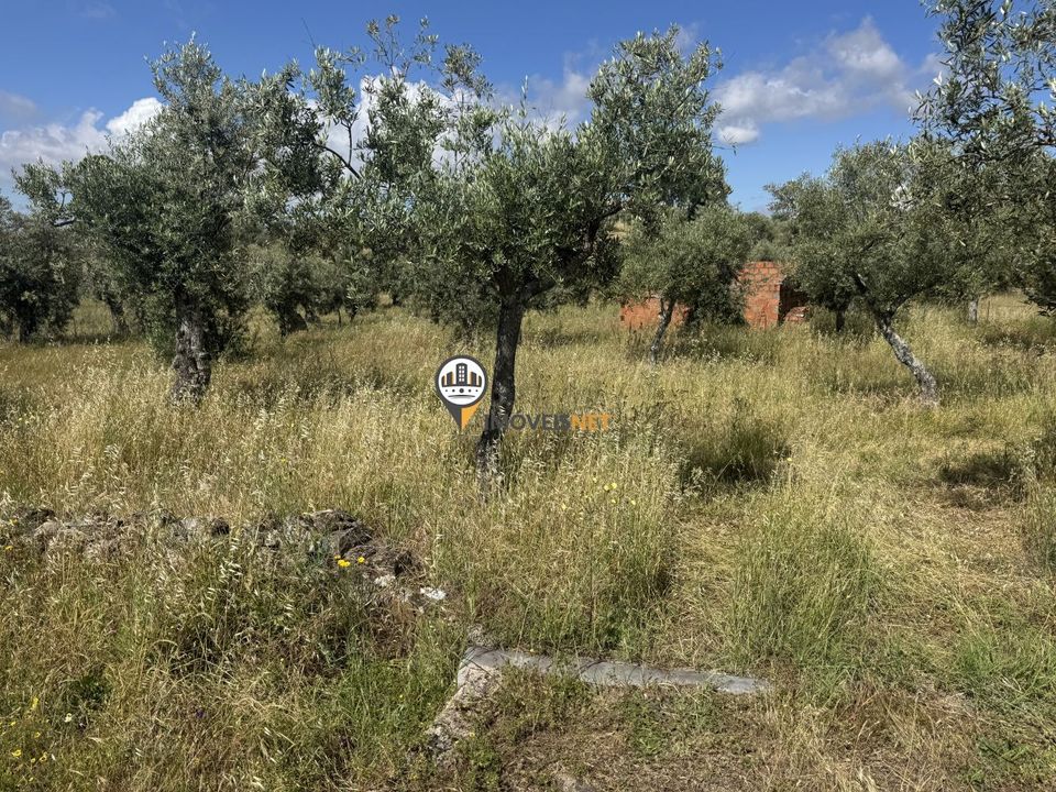Helårsgrund i Castelo Branco, Castelo Branco - foto 4
