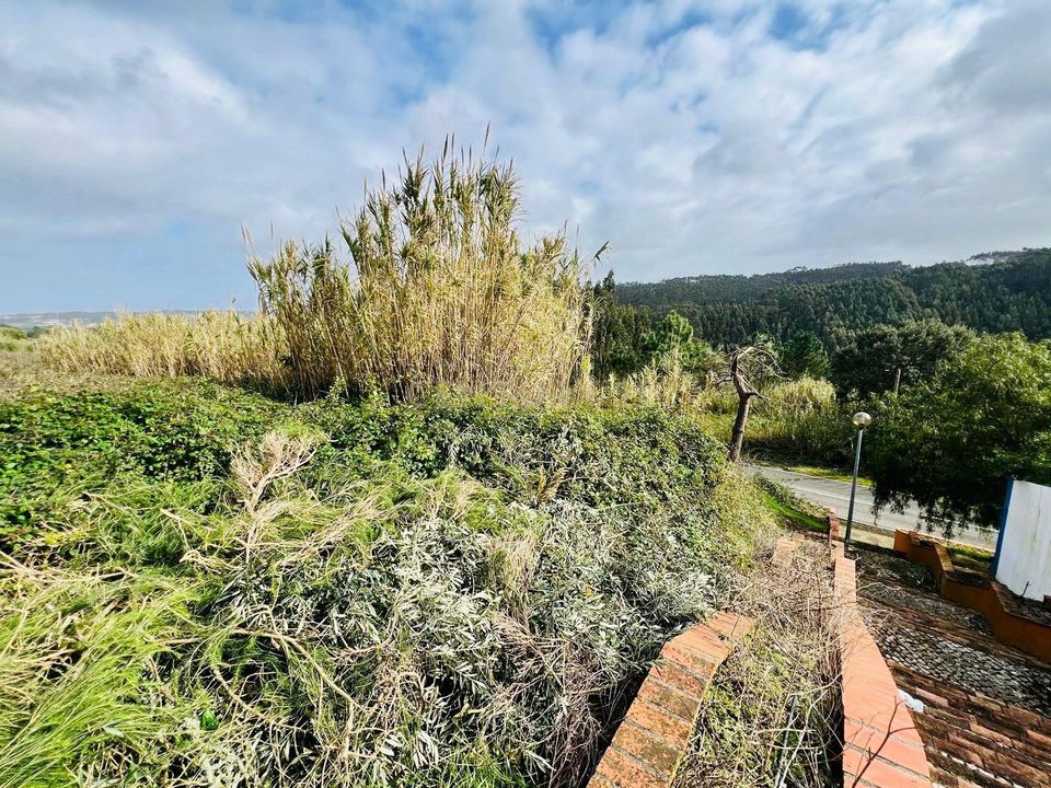Helårsgrund i Obidos, Leiria - foto 3