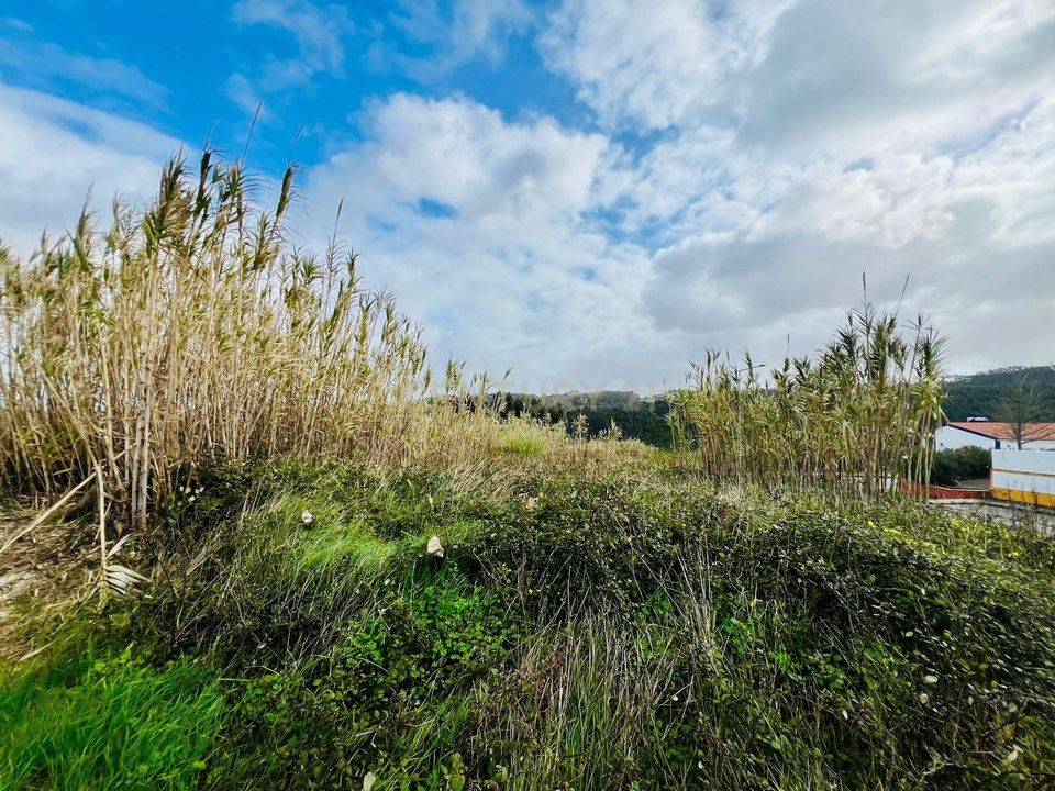 Helårsgrund i Obidos, Leiria - foto 4