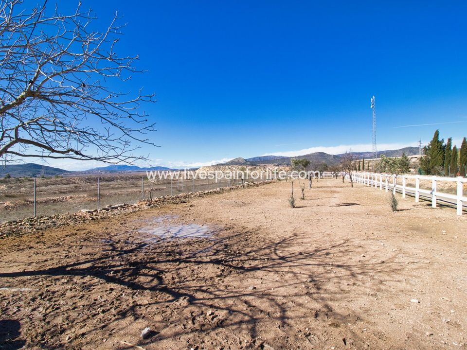 Farm i Monovar, Alicante - foto 1
