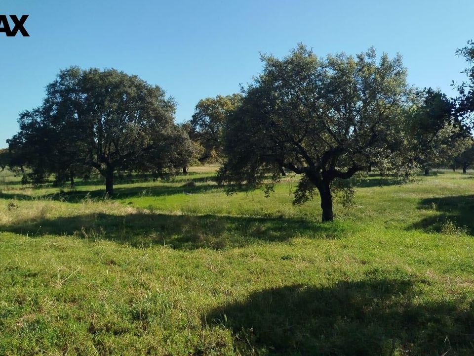 Helårsgrund i La Codosera, Badajoz - foto 1
