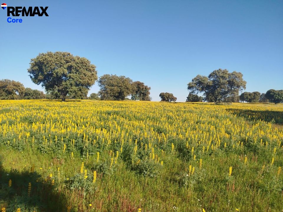 Helårsgrund i La Codosera, Badajoz - foto 2