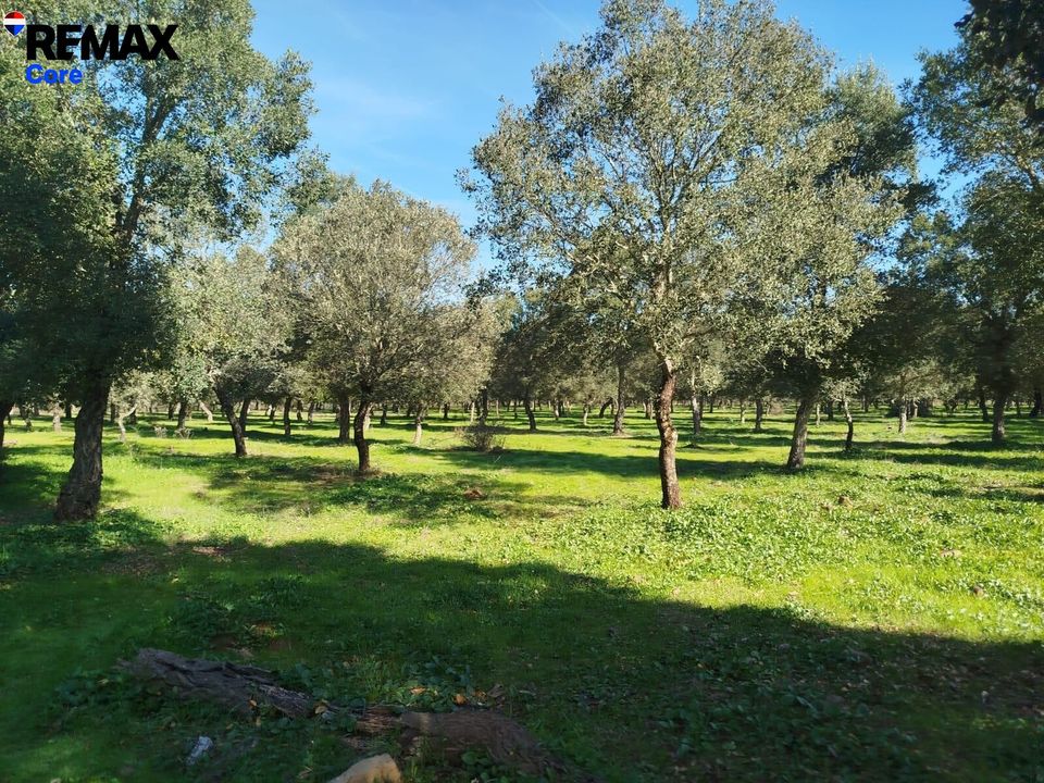 Helårsgrund i La Codosera, Badajoz - foto 3