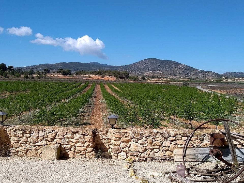 Rækkehus i Pinoso, Alicante - foto 4