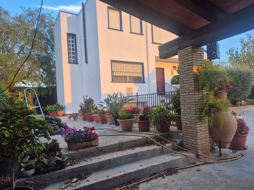 Finca i Orihuela, Alicante - bilde 2