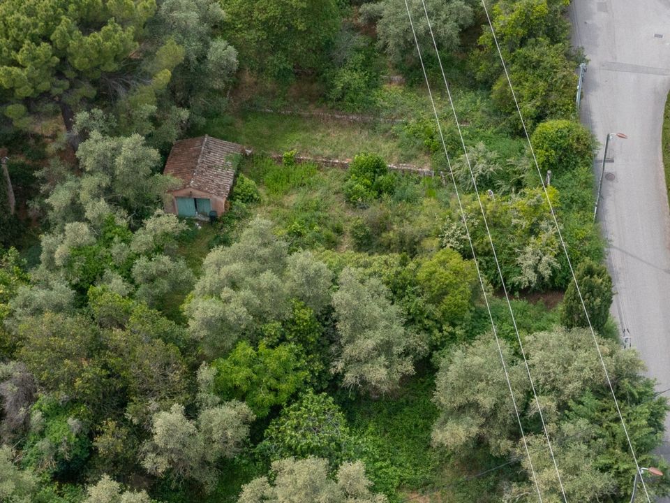 Helårsgrund i Grasse, Alpes-Maritimes - foto 3