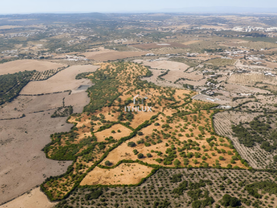 Gård i Elvas, Portalegre - bilde 3