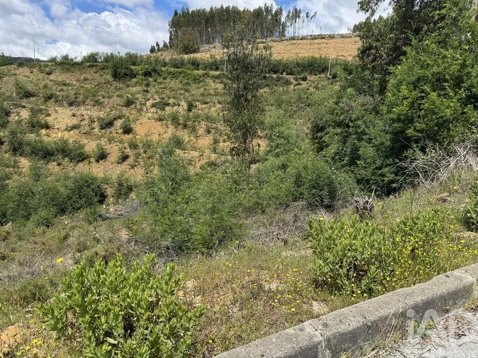 Helårsgrund i Castanheira de Pera, Leiria - foto 2