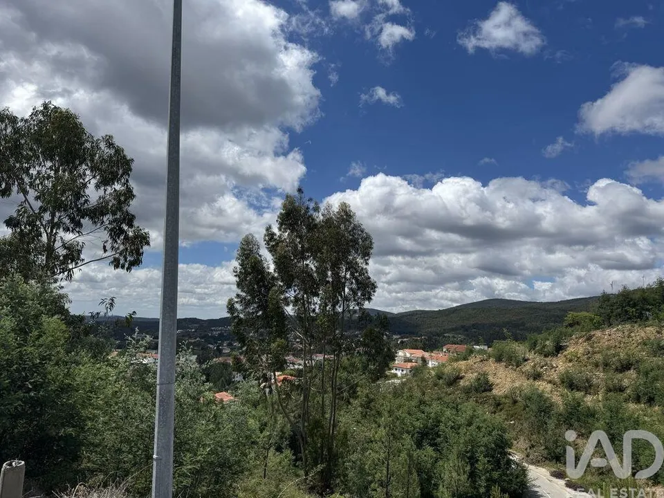 Helårsgrund i Castanheira de Pera, Leiria - foto 3