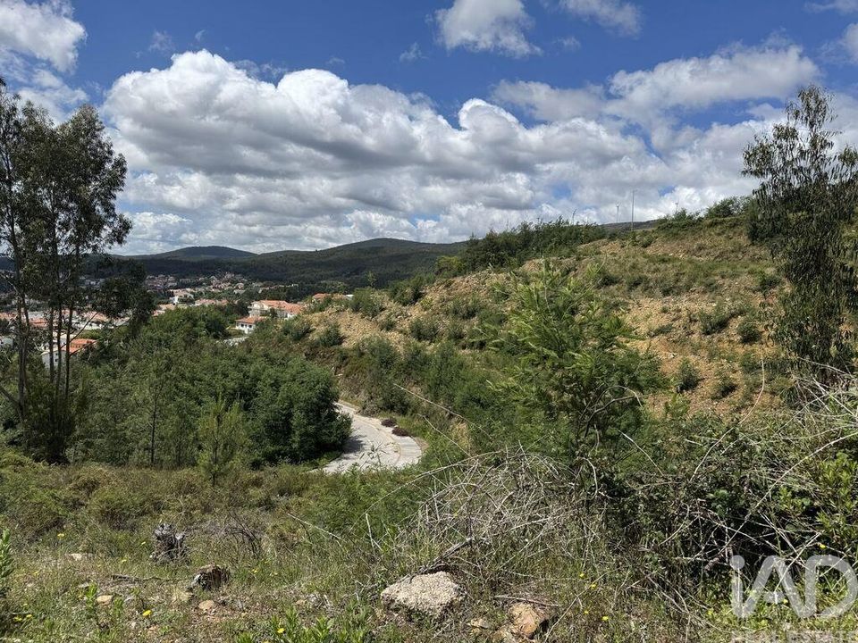 Helårsgrund i Castanheira de Pera, Leiria - foto 4