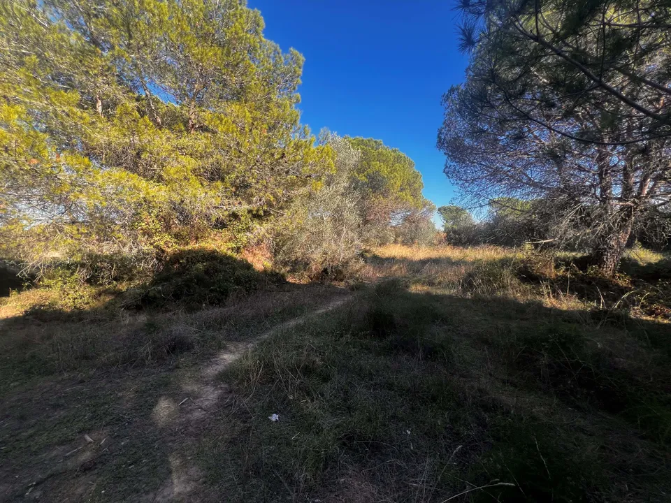 Helårsgrund i Girona, Gerona - foto 5