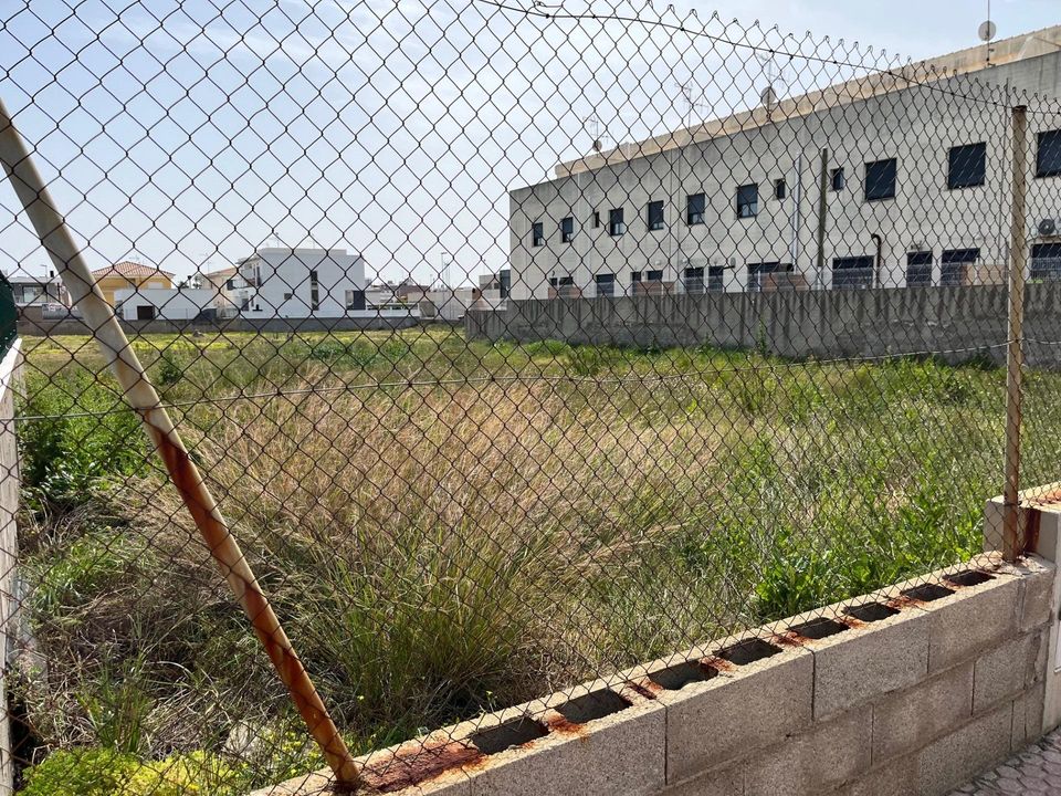 Terra a Alquerias Del Nino Perdido, Castellon - foto 3