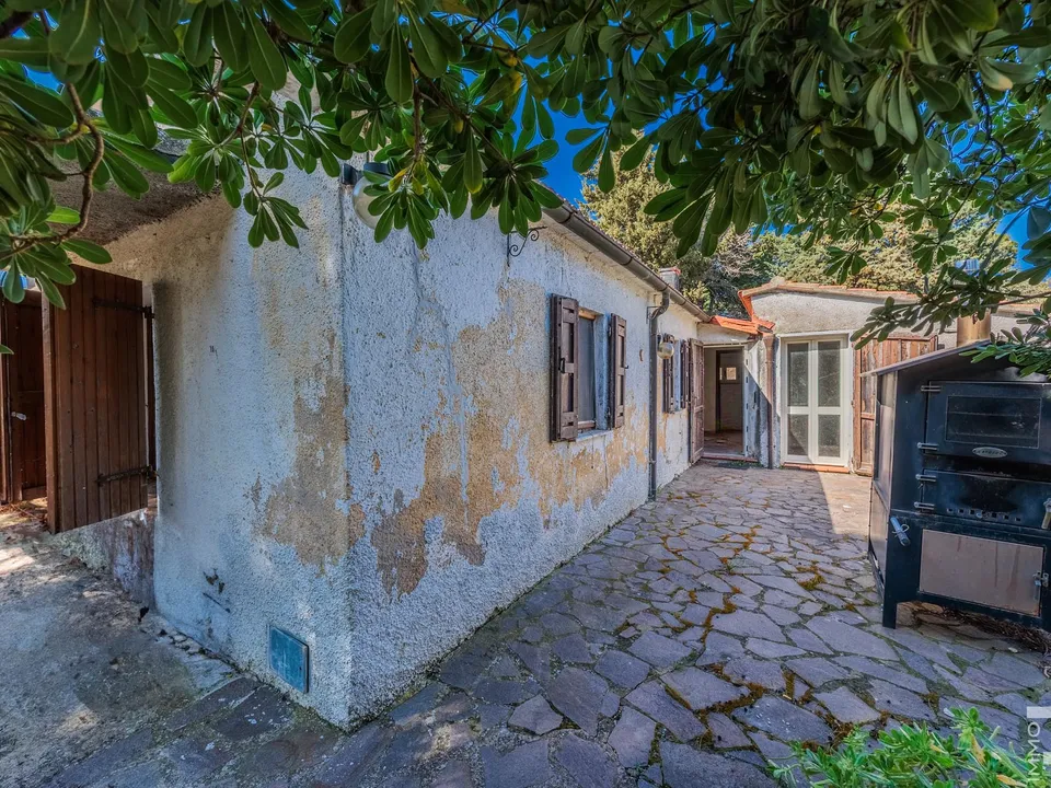 Maatalo Cinigianossa, Grosseto - kuva 3