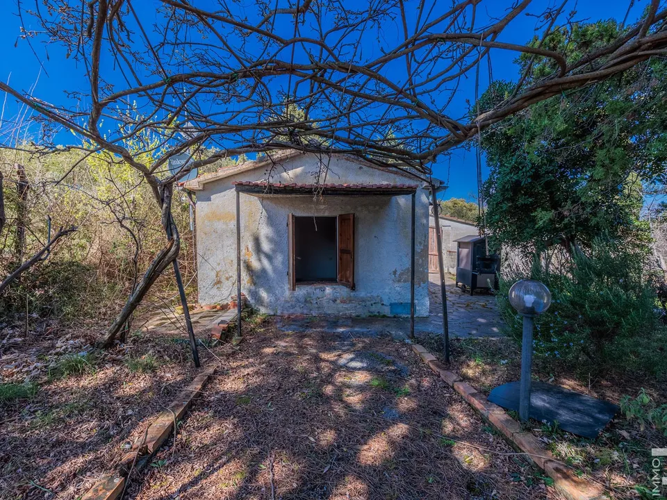 Maatalo Cinigianossa, Grosseto - kuva 2