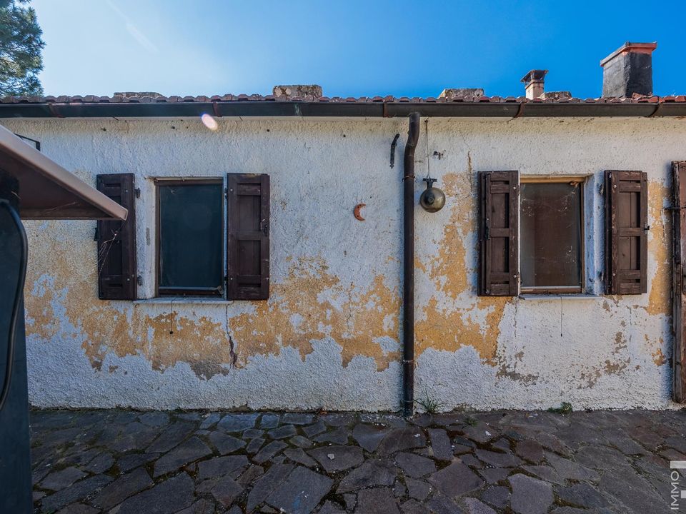 Maatalo Cinigianossa, Grosseto - kuva 4