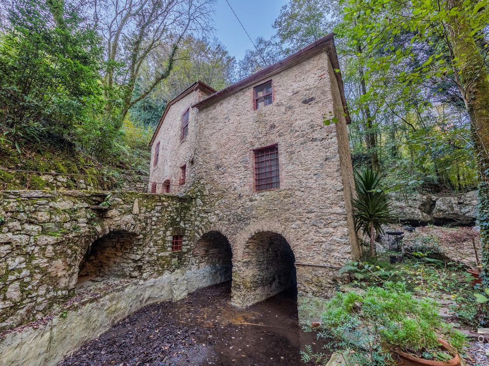 Herregård i Camaiore, Lucca - bilde 4