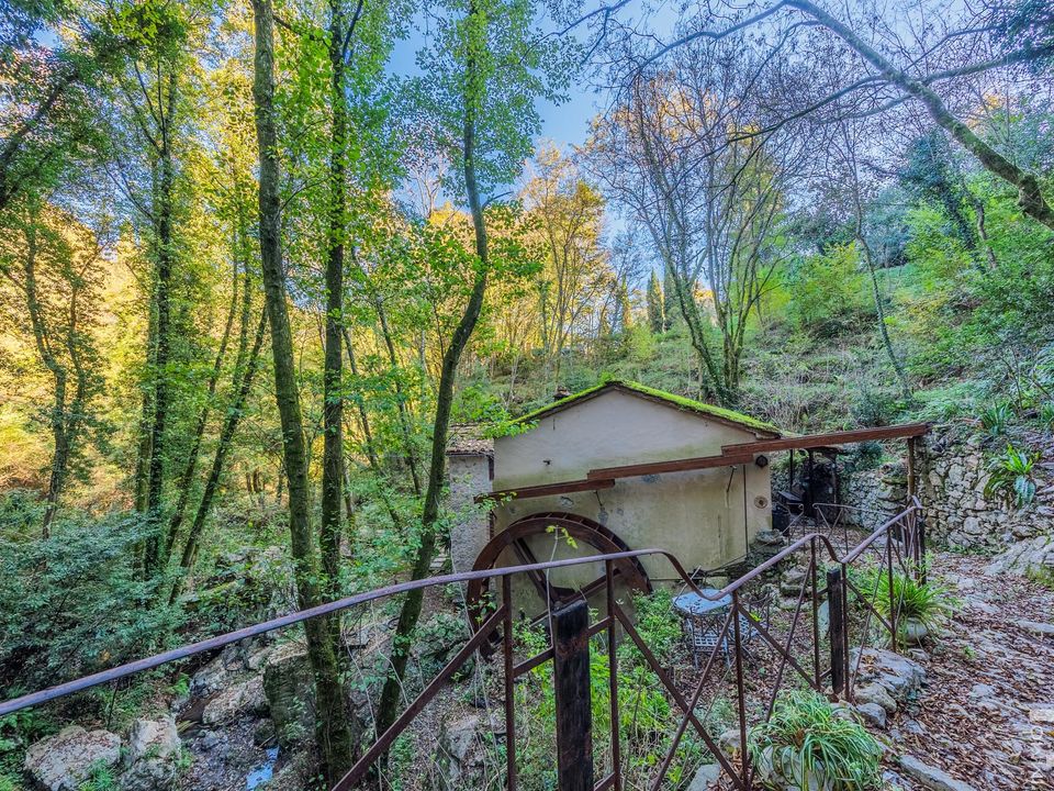 Herregård i Camaiore, Lucca - bilde 5