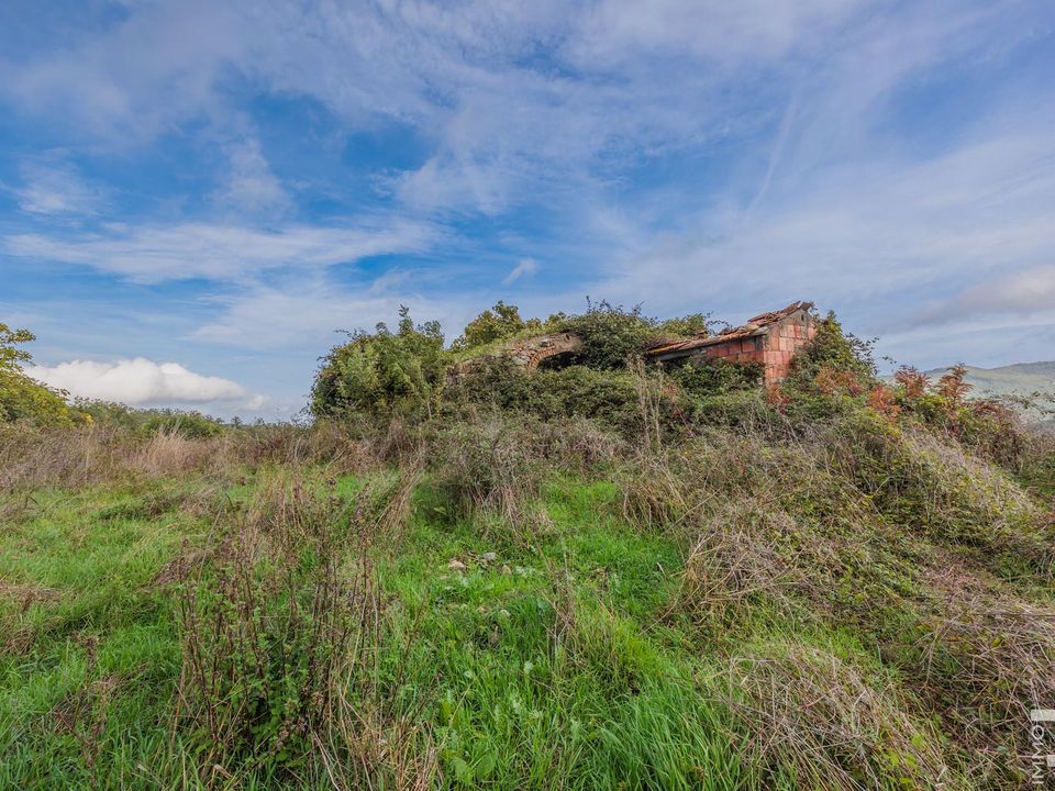 Herregård i Scansano, Grosseto - bilde 4