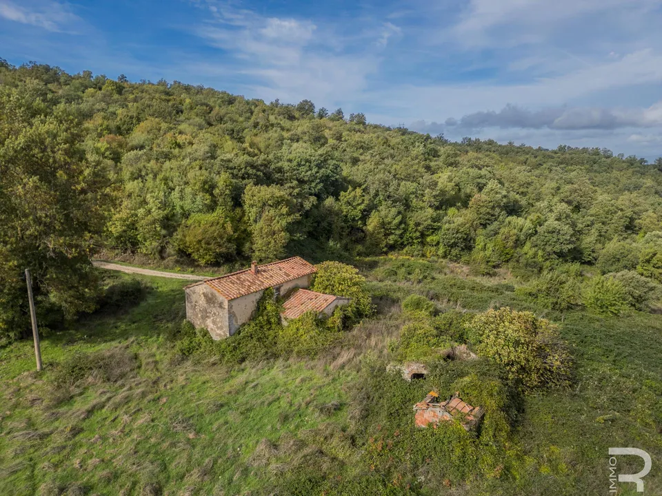 Herregård i Scansano, Grosseto - bilde 1