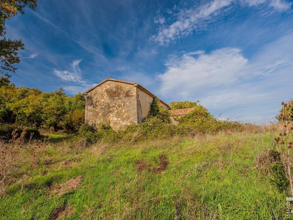 Herregård i Scansano, Grosseto - bilde 5
