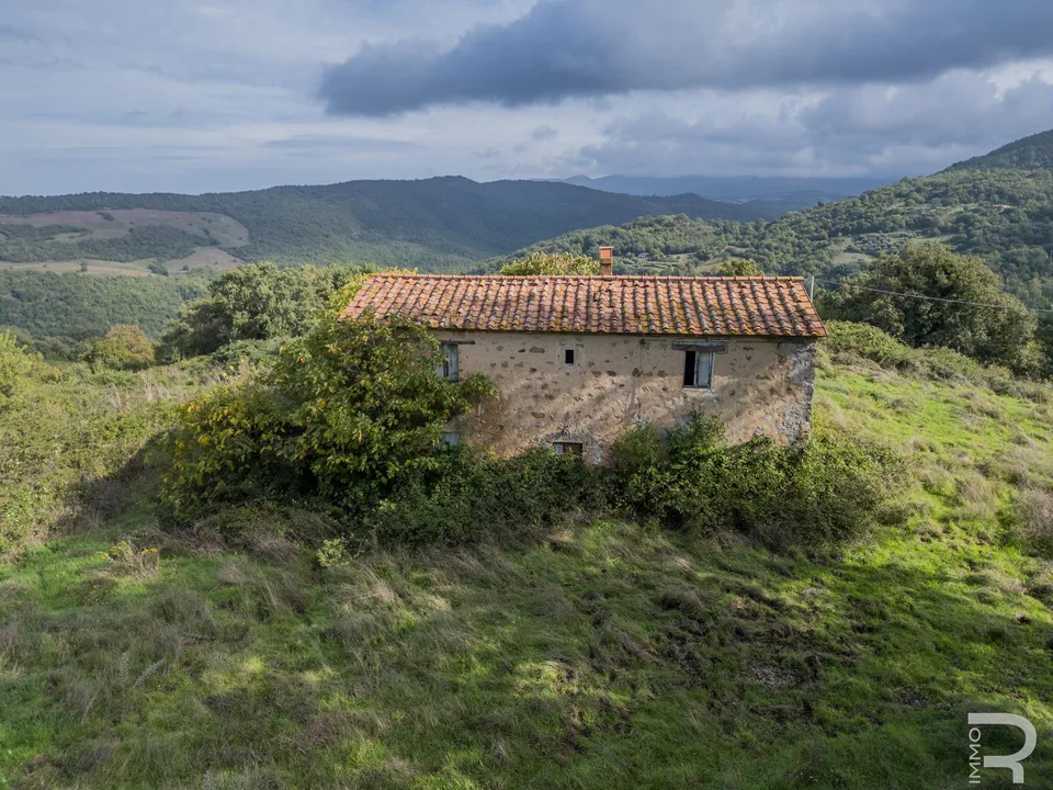Herregård i Scansano, Grosseto - bilde 2