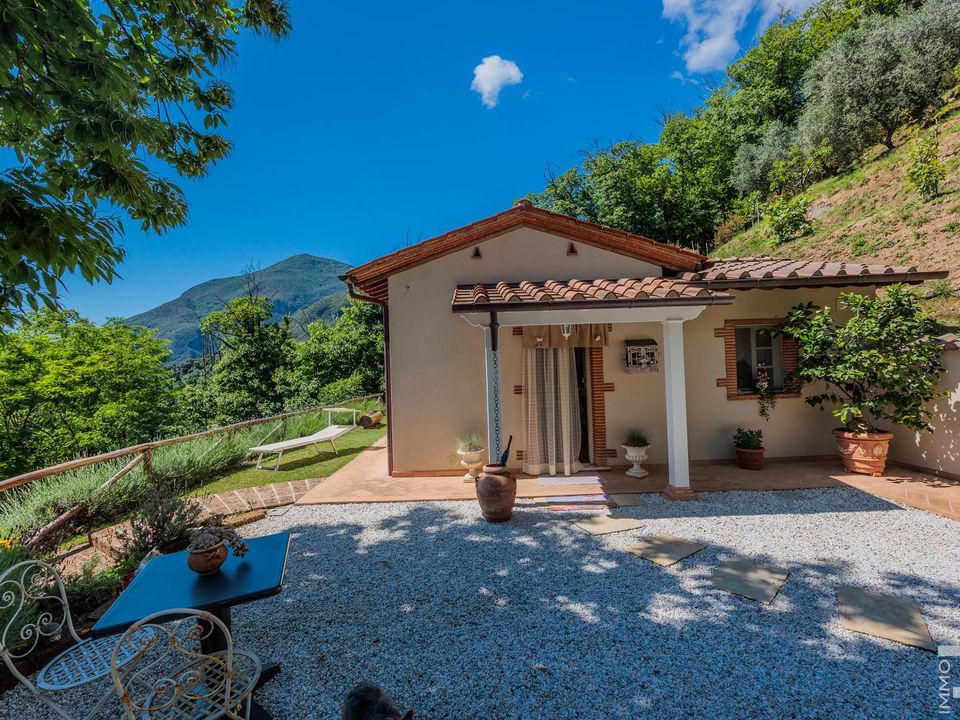 Villa i Camaiore, Lucca - foto 2