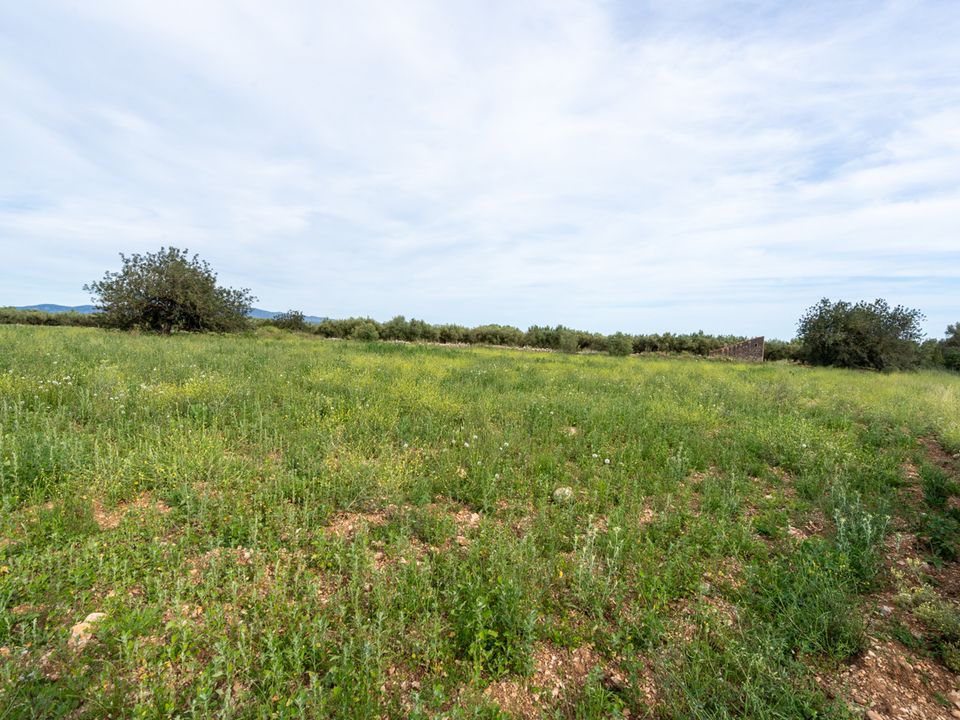Finca i La Senia, Tarragona - foto 4